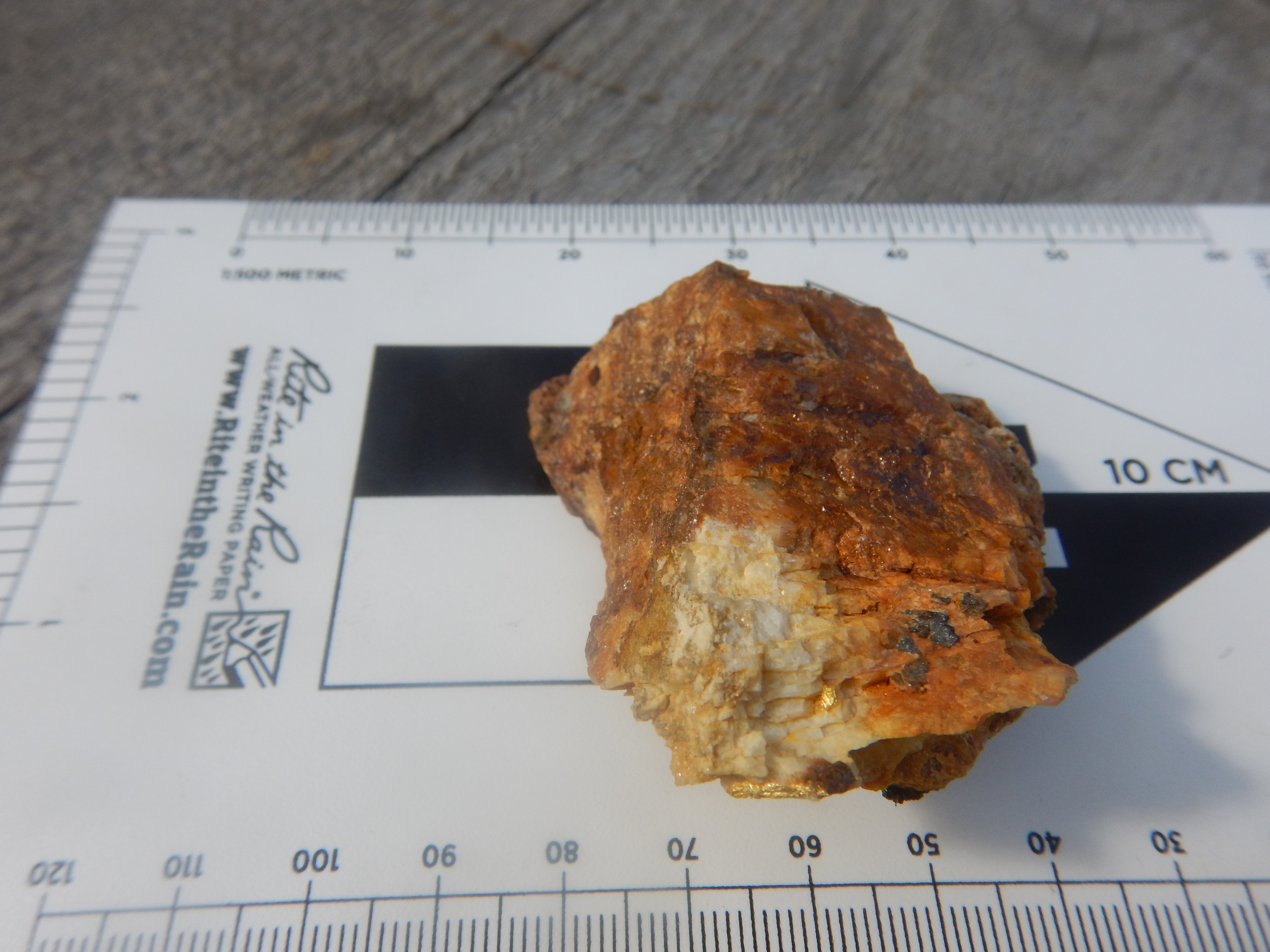 2019 rock sample with visible gold
